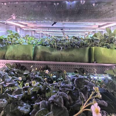 Mobile Fruit & Vegetable Cultivation Space Station | Modular Container Farm