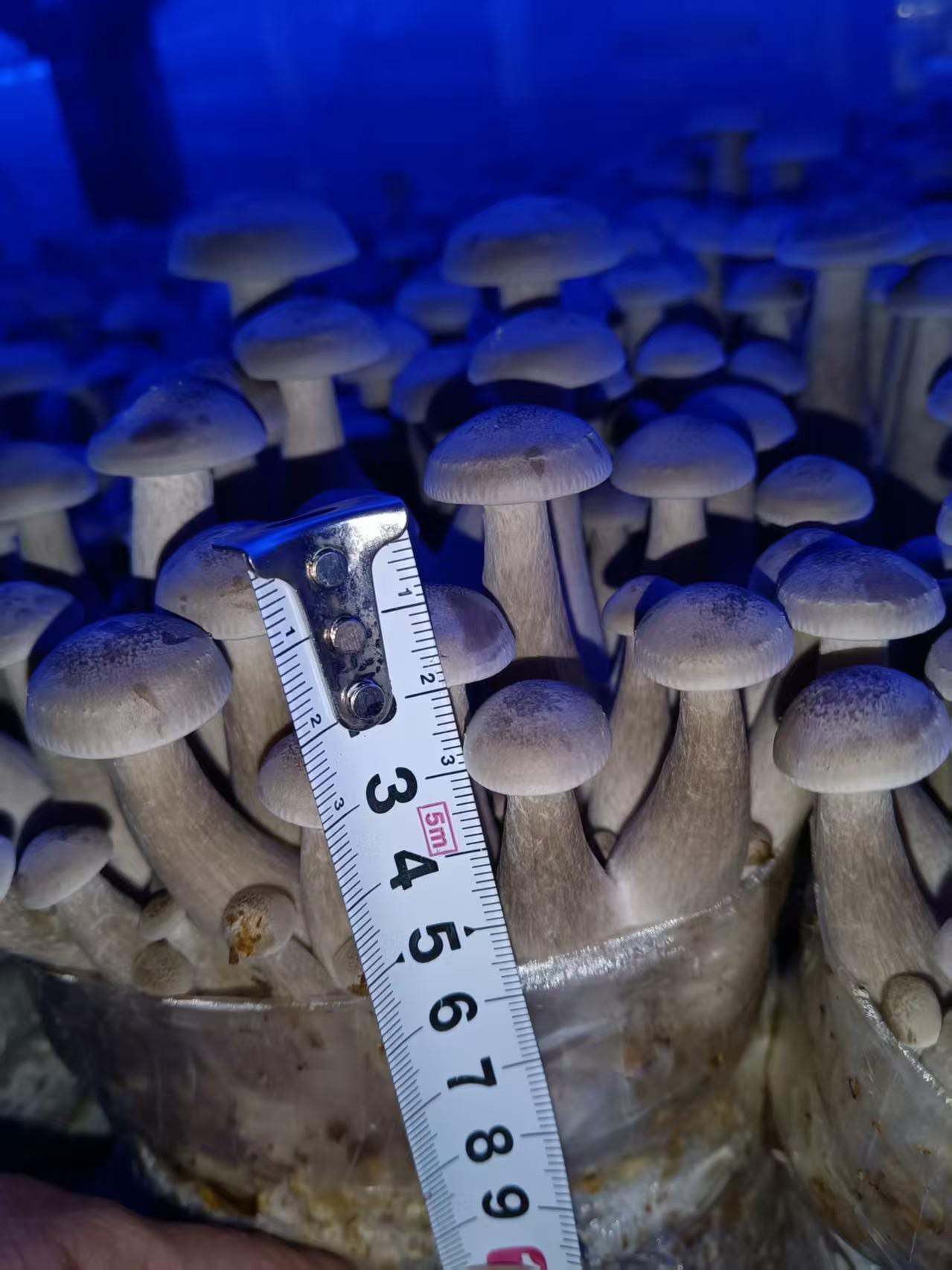 Quality check on site: uniform grade and a consistent standard