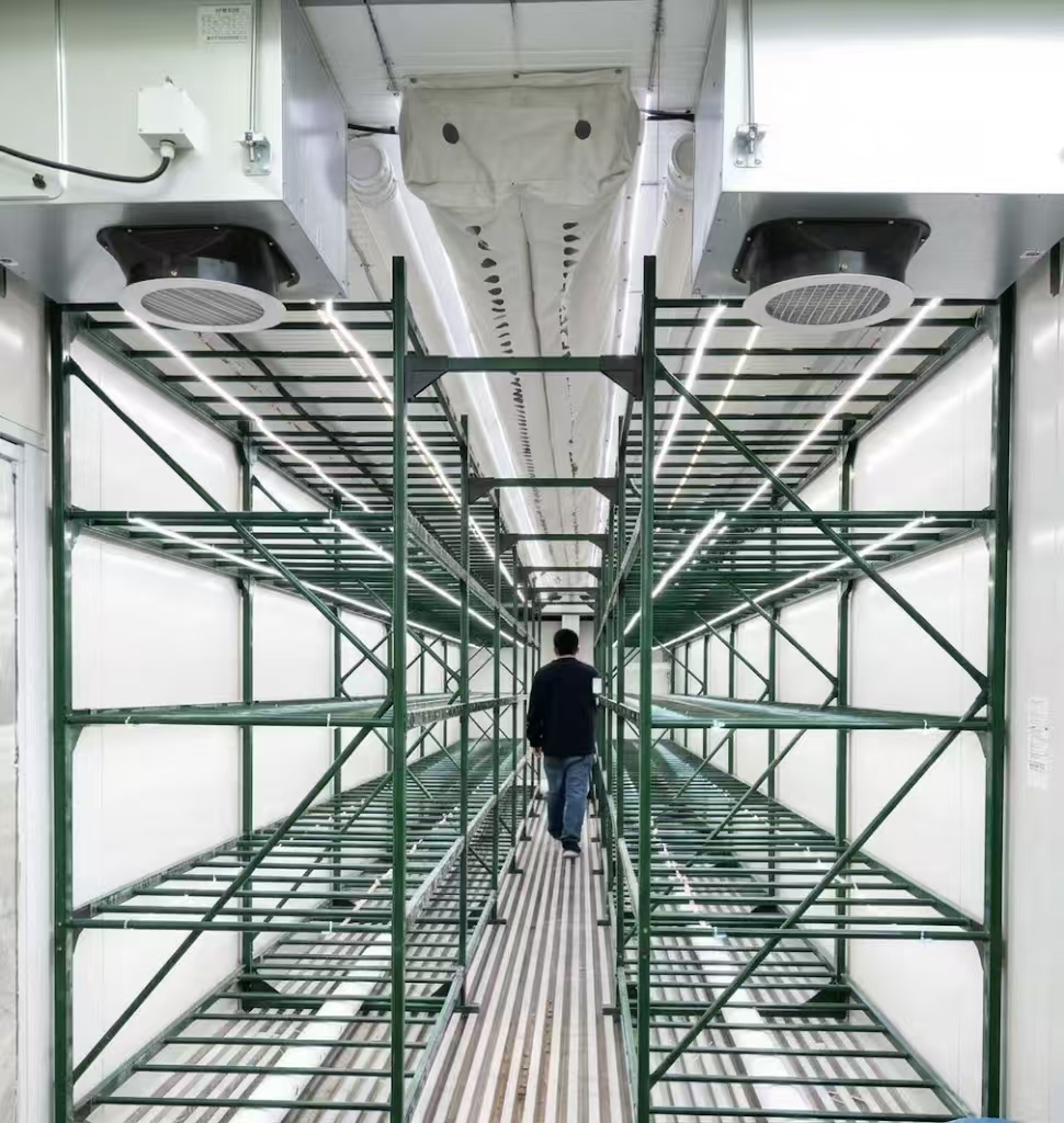 Mobile Smart Fruit and Vegetable Space Station