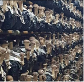Mobile Smart Mushroom Space Station (Tier Racks)